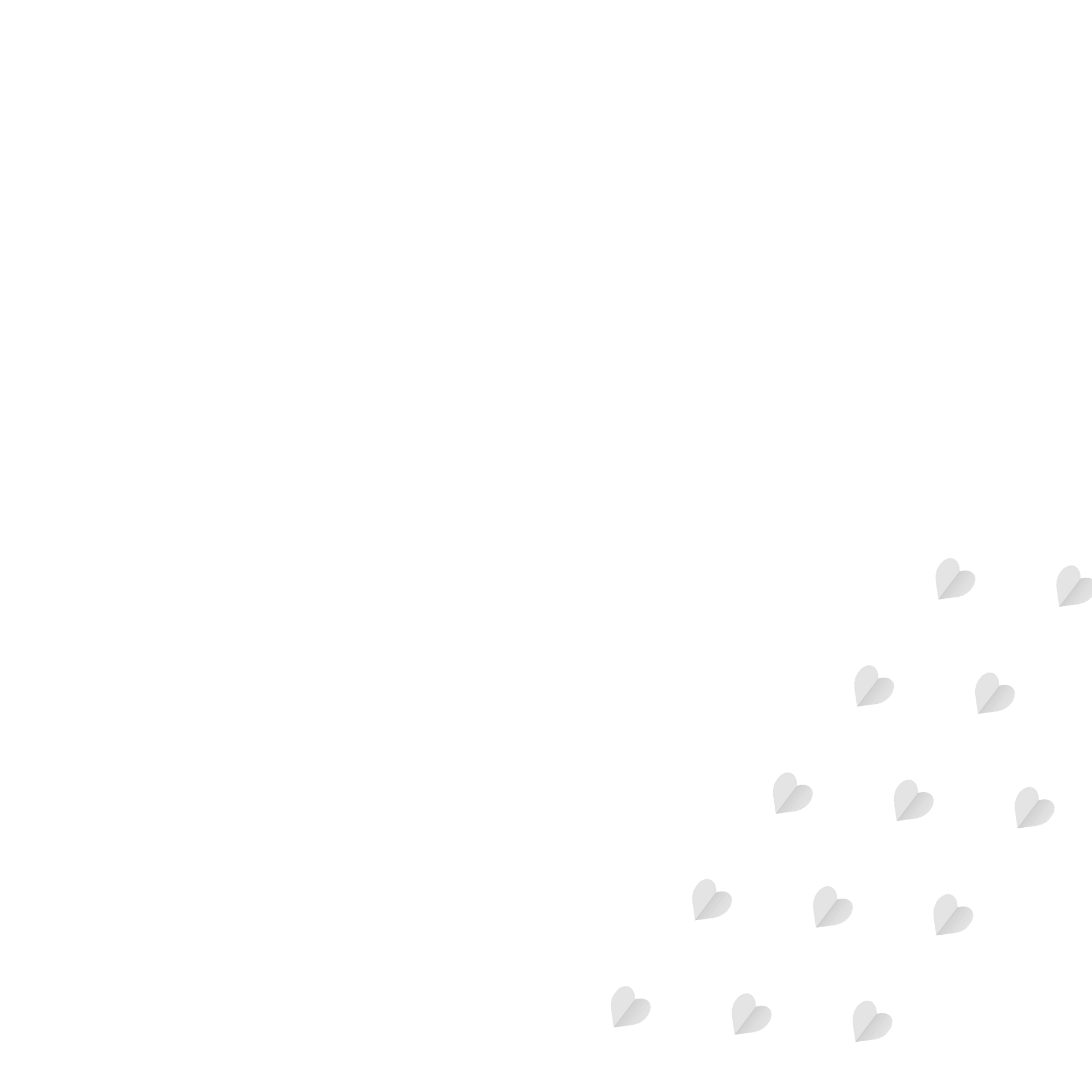 customized chimney cleaning